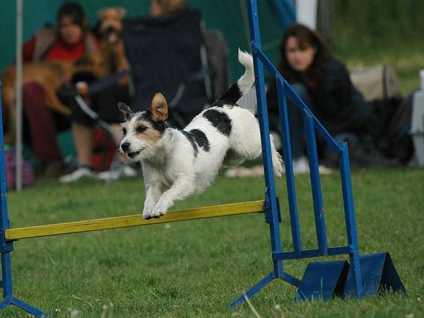 4. ročník závodů Hop Sem Hop Tam