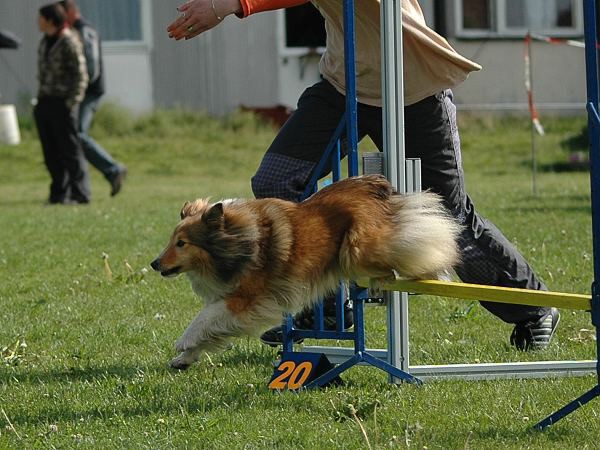 4. ročník závodů Hop Sem Hop Tam