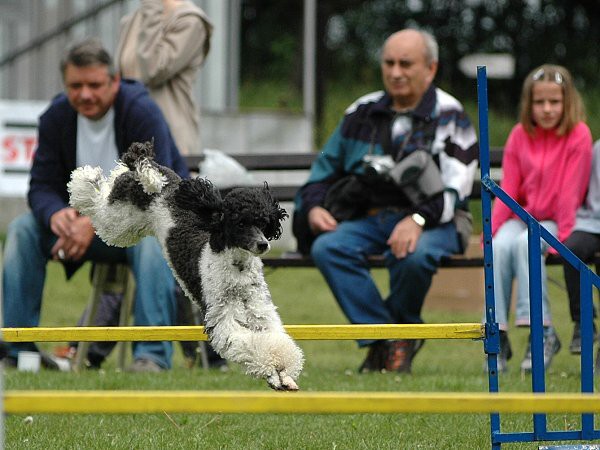 4. ročník závodů Hop Sem Hop Tam