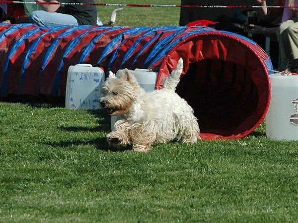 img00006.jpg