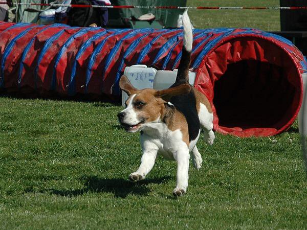 img00010.jpg