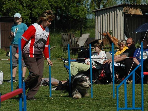 img00020.jpg
