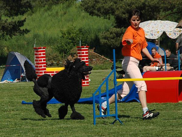 img00025.jpg