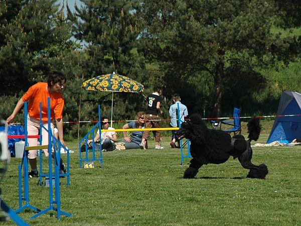 img00026.jpg
