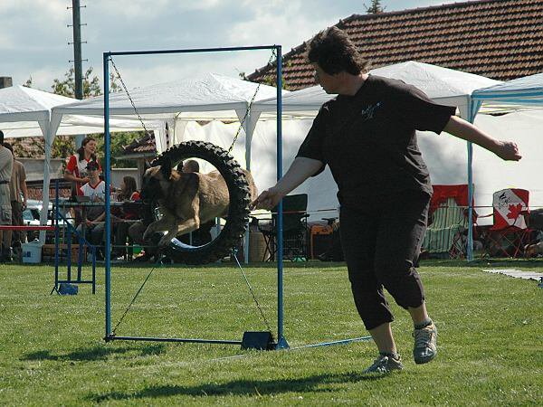 img00032.jpg