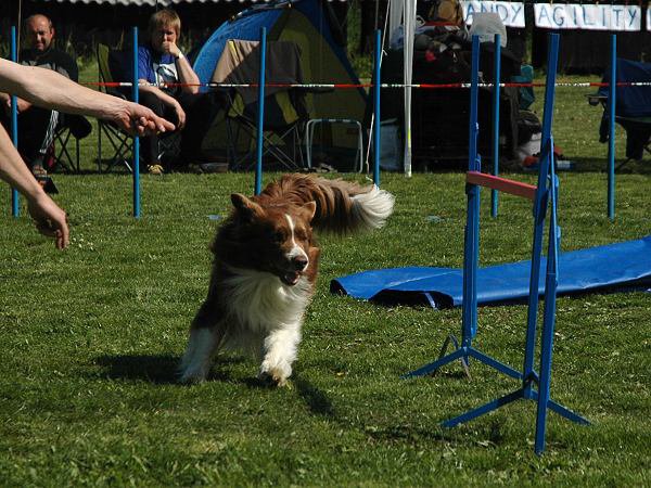 img00038.jpg