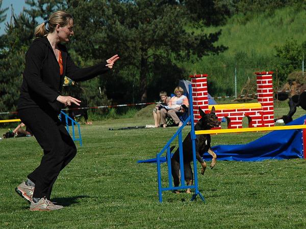 img00046.jpg