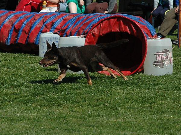img00049.jpg