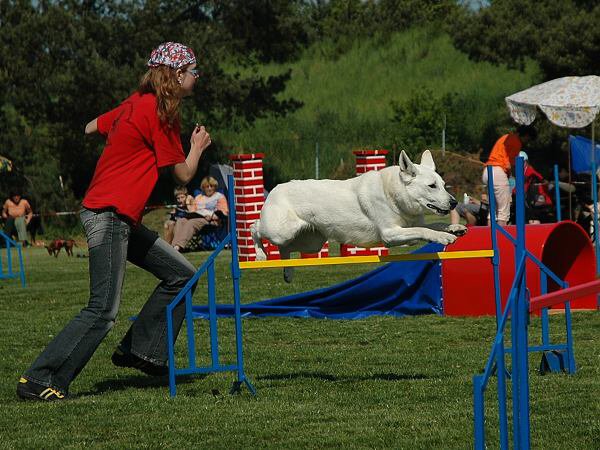 img00052.jpg