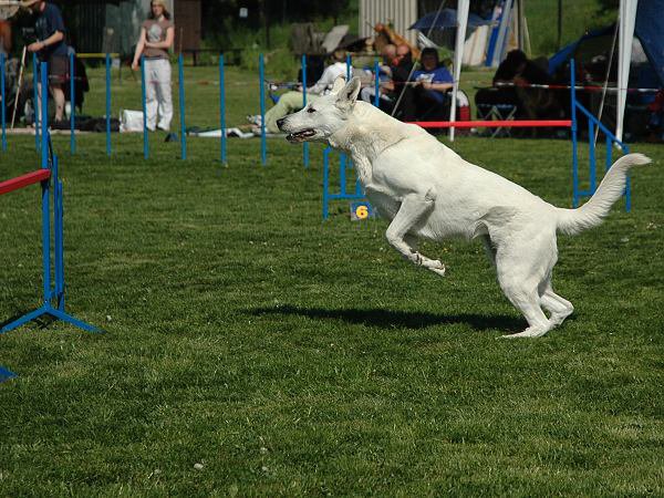 img00054.jpg