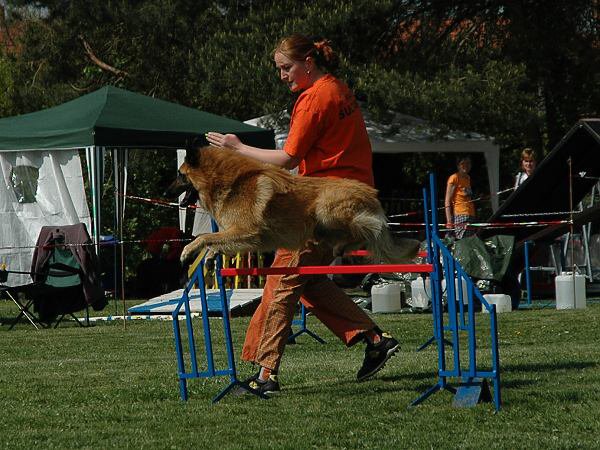 img00066.jpg