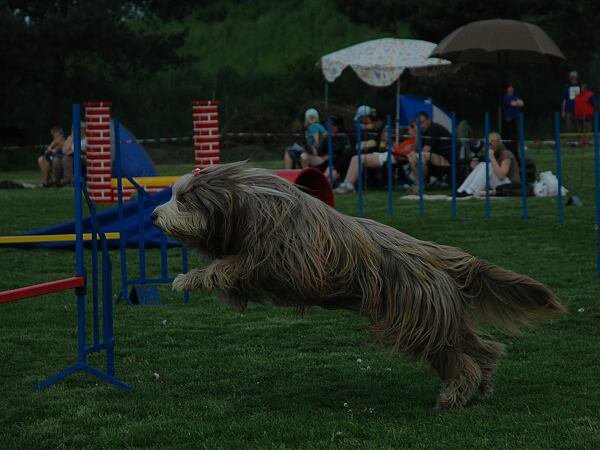 img00070.jpg