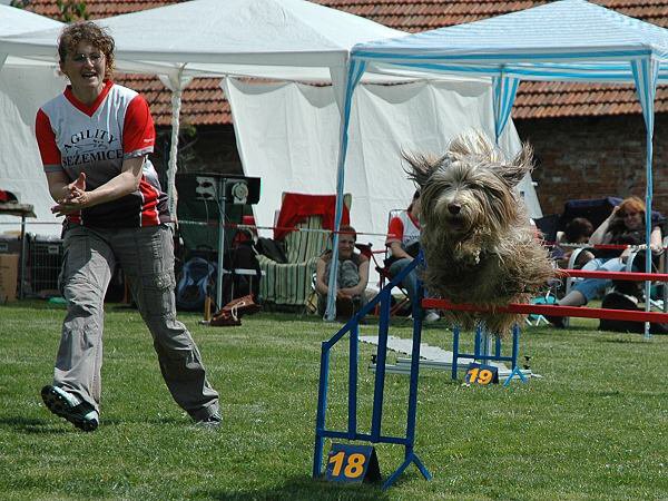 img00072.jpg