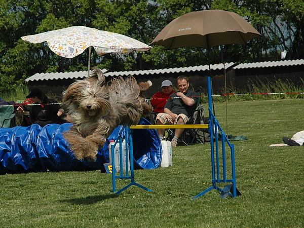 img00073.jpg
