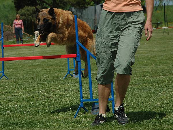 img00074.jpg