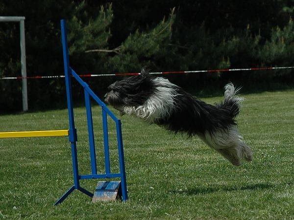img00086.jpg