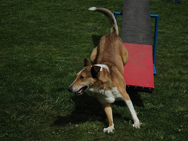 img00102.jpg