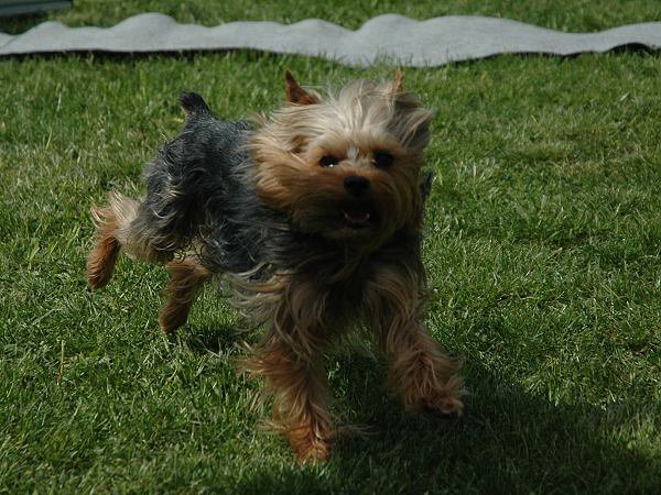 img00118.jpg