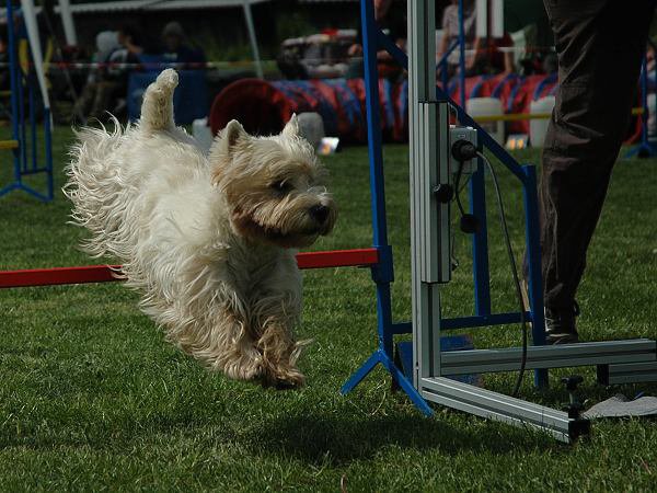 img00119.jpg