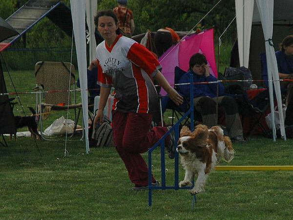 img00121.jpg