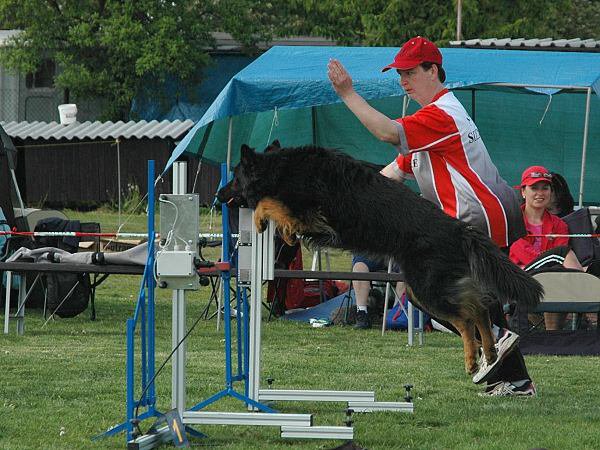 img00122.jpg