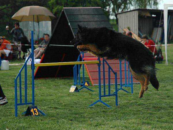 img00125.jpg