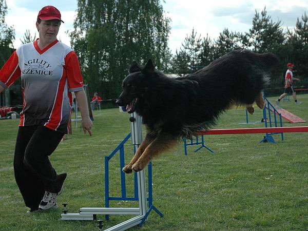 img00126.jpg