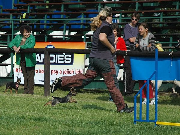 Extreme Agility víkend - sobota