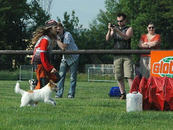 Extreme Agility víkend - sobota