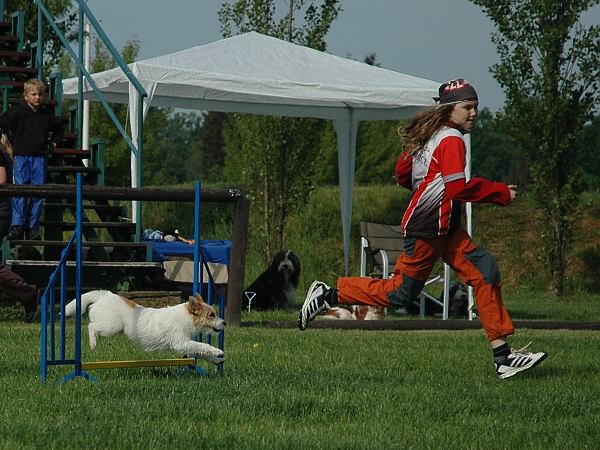 Extreme Agility víkend - sobota