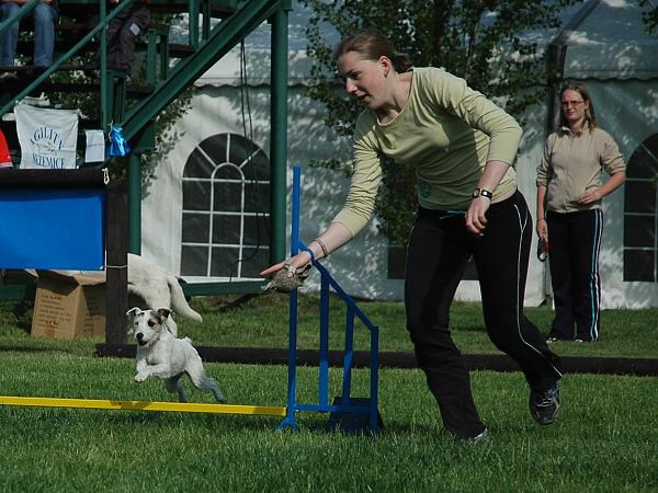 Extreme Agility víkend - sobota