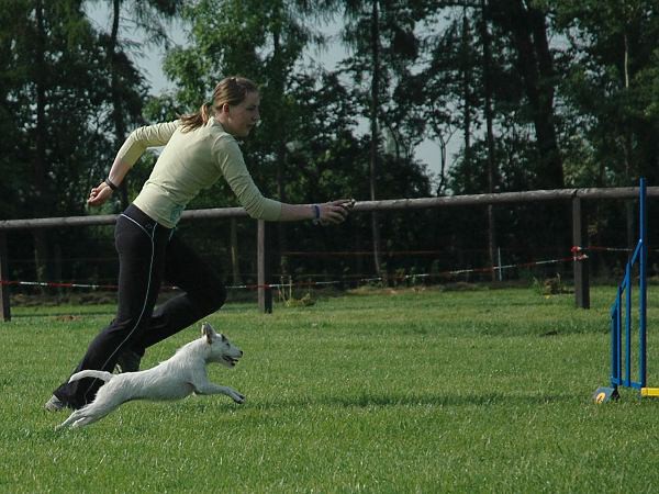Extreme Agility víkend - sobota