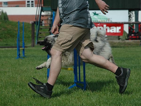 Extreme Agility víkend - sobota