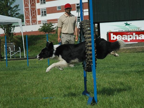 Extreme Agility víkend - sobota