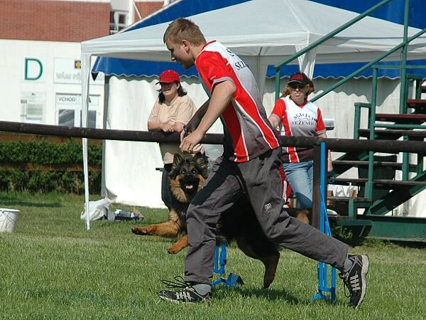 Extreme Agility víkend - sobota