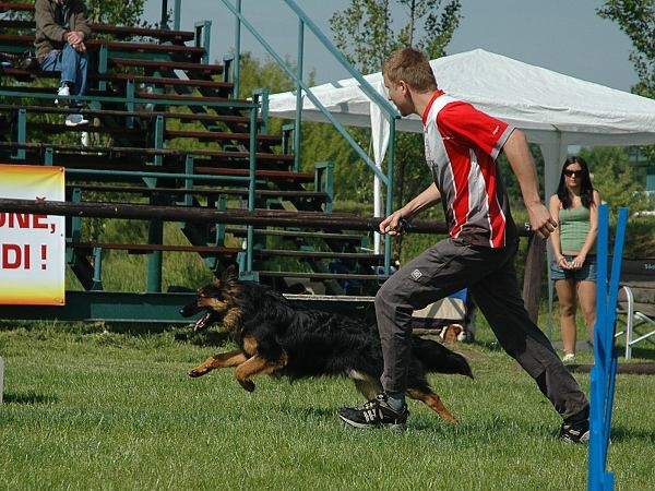 Extreme Agility víkend - sobota