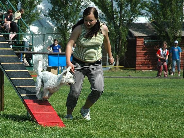 Extreme Agility víkend - sobota