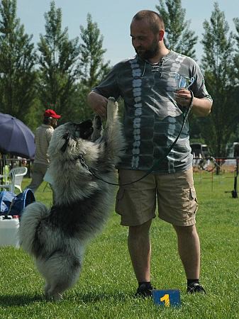 Extreme Agility víkend - sobota