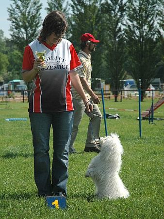 Extreme Agility víkend - sobota