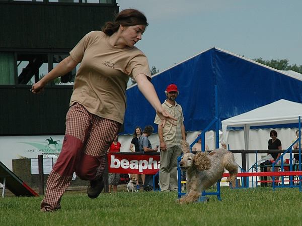 Extreme Agility víkend - sobota