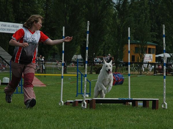 Extreme Agility víkend - sobota