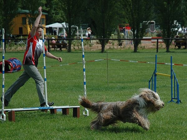 Extreme Agility víkend - sobota