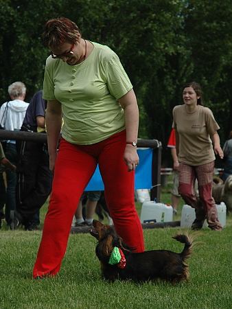 Extreme Agility víkend - sobota