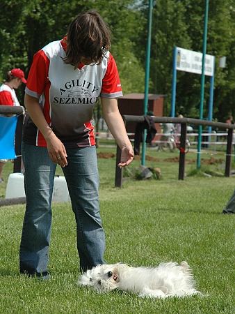 Extreme Agility víkend - sobota
