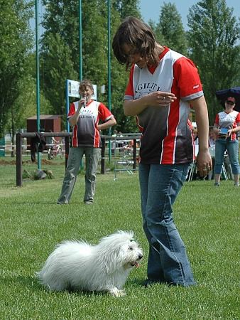 Extreme Agility víkend - sobota