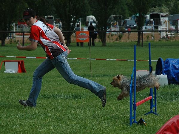 Extreme Agility víkend - sobota
