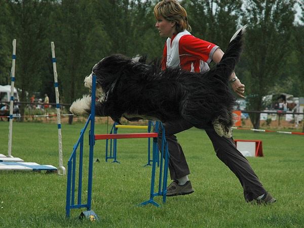 Extreme Agility víkend - sobota