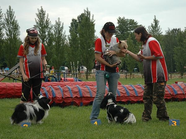 Extreme Agility víkend - sobota