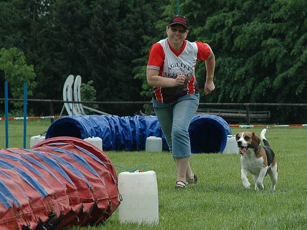 Extreme Agility víkend - sobota
