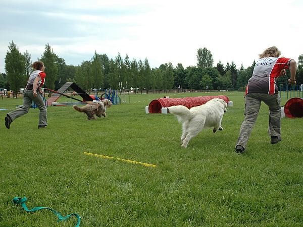 Extreme Agility víkend - sobota